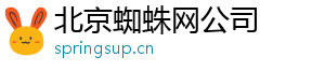 北京蜘蛛网公司